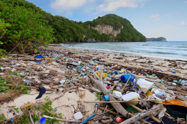 O impacto das sacolas plásticas no meio ambiente