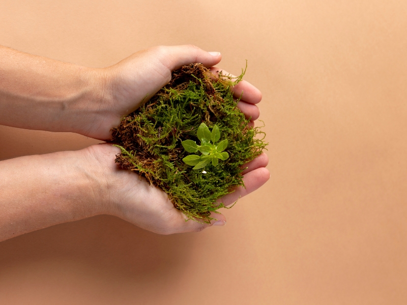 O que é Pegada Ecológica 