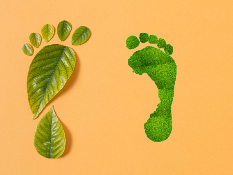 O que é Pegada Ecológica